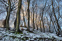 Winter Cards