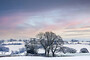 Christmas Cards